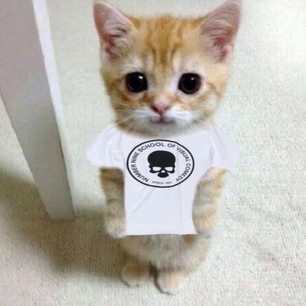 Meet your Posher, Trinity